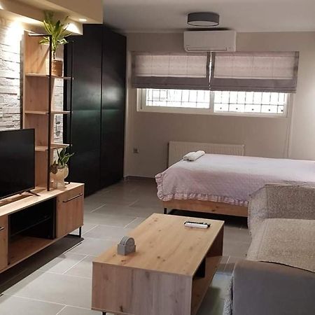Lefkaditika Luxury Apartment Prévéza Extérieur photo