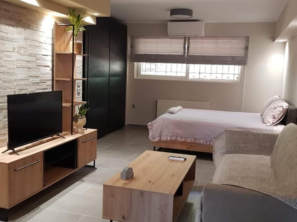 Lefkaditika Luxury Apartment Prévéza Extérieur photo